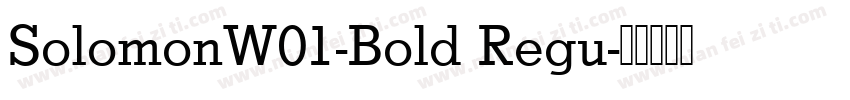 SolomonW01-Bold Regu字体转换